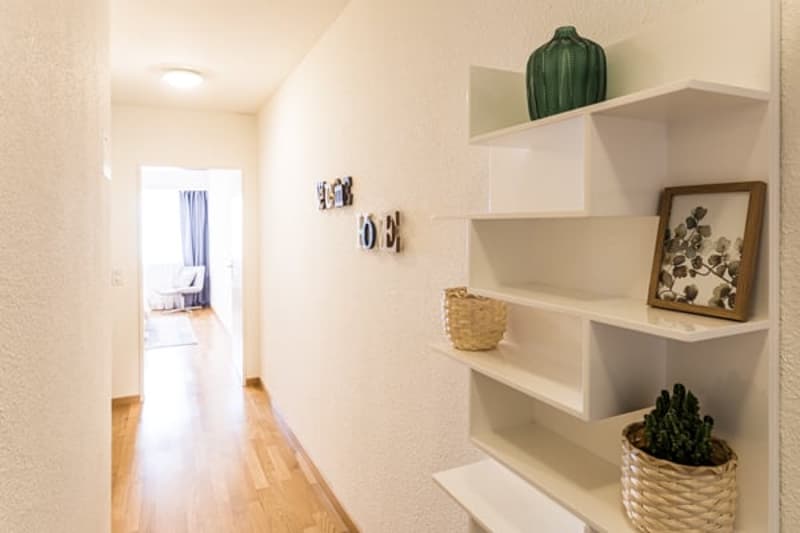white wall, hallway, decorative items, potted plant, framed picture, basket, wooden floor