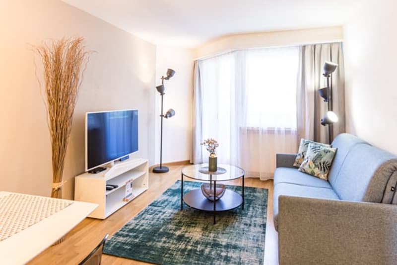 living room with sofa, table, television, curtains, floor lamp, rug, side table