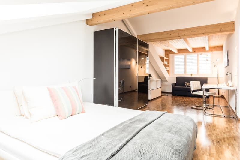 Modern Apartment with roof top terrace – Zurich Oerlikon (1)