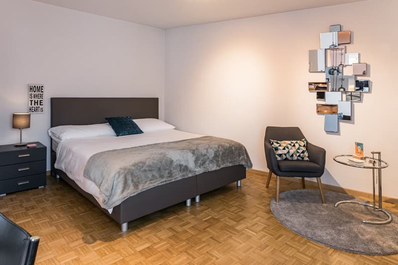 Design Apartments – Zurich City (2)