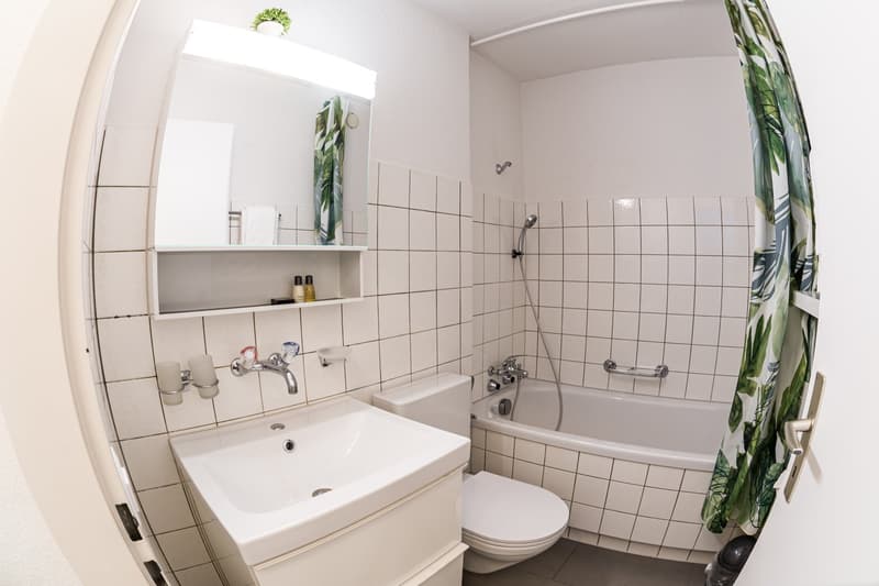 Design Apartments – Zurich City (8)