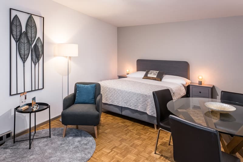 Design Apartments – Zurich City (1)