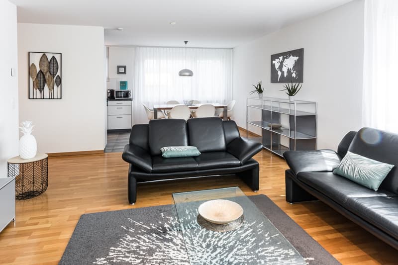 Family Apartments – Zürich Dübendorf (1)