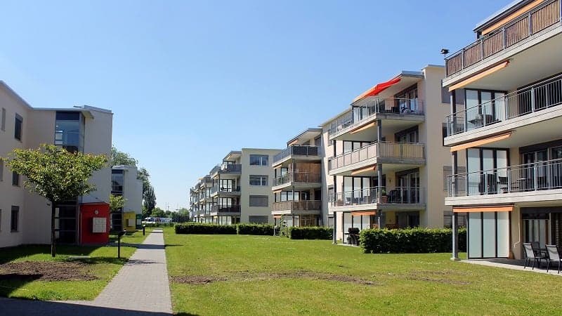 Building View