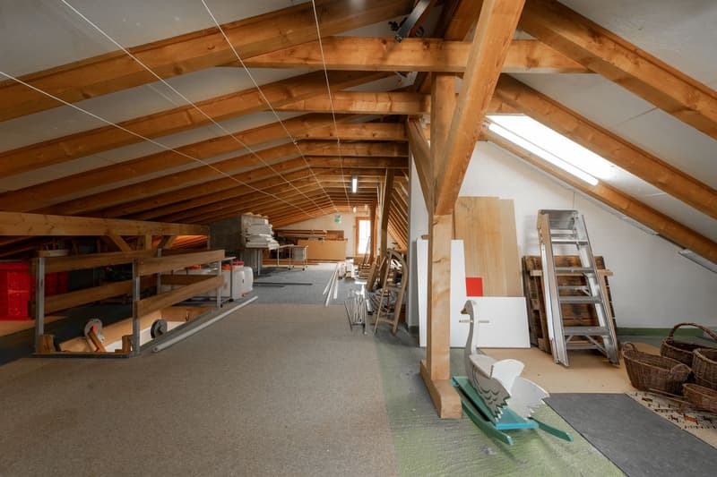 Familienfreundliches Einfamilienhaus im idyllischen Hallau (7)
