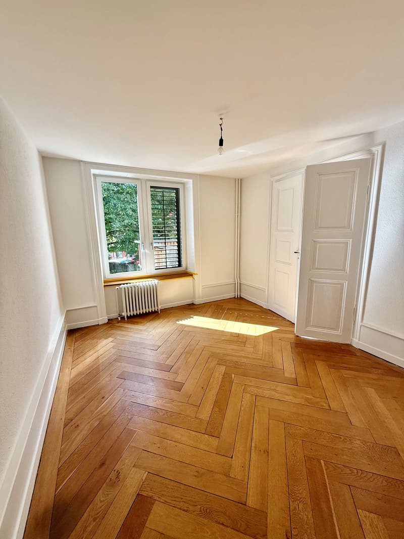 Neu sanierte 6-Zimmerwohnung im 1.OG ca. 160 m2 (Wohnen/Arbeiten) (3)
