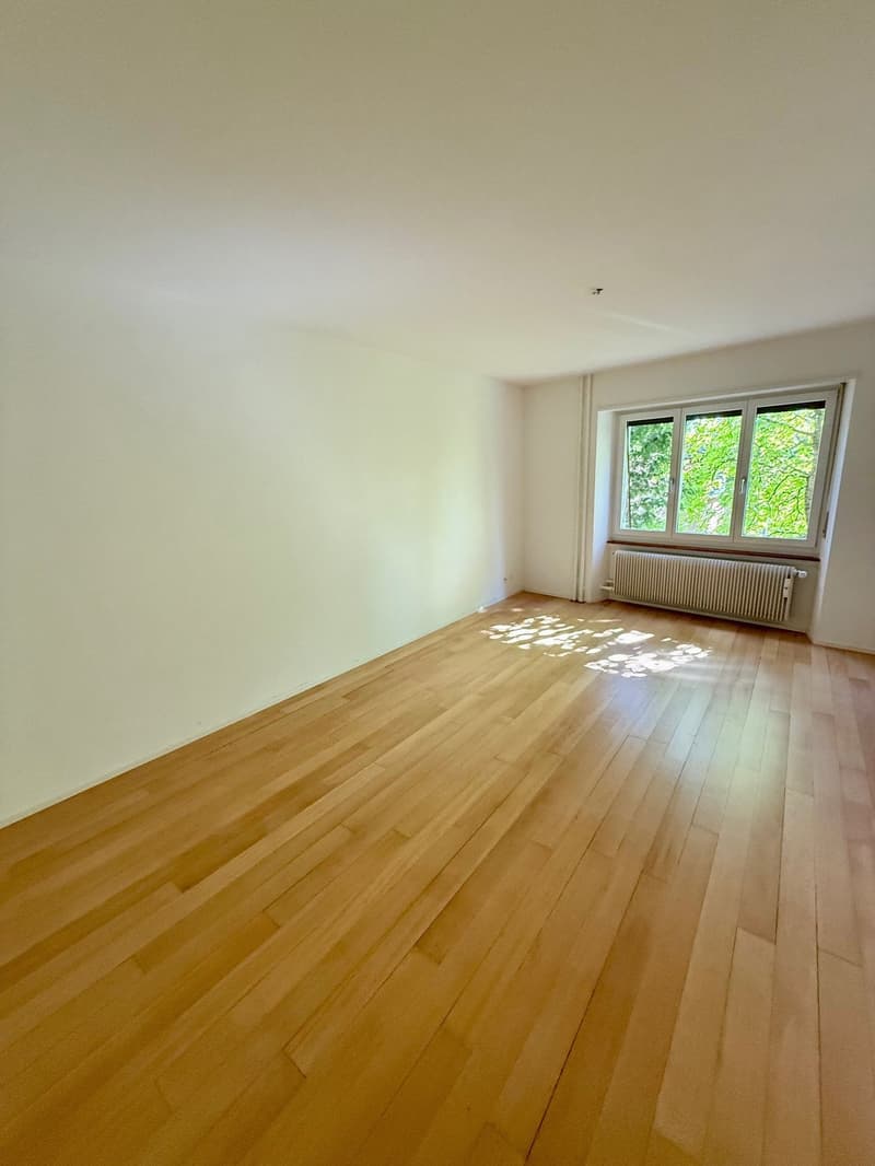 Neu sanierte 6-Zimmerwohnung im 1.OG ca. 160 m2 (Wohnen/Arbeiten) (9)