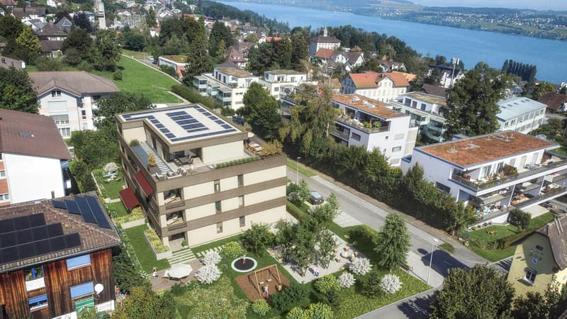 3½-Zimmer-Gartenwohnung - Wohnen mit Privatsphäre, Licht und Natur (3)