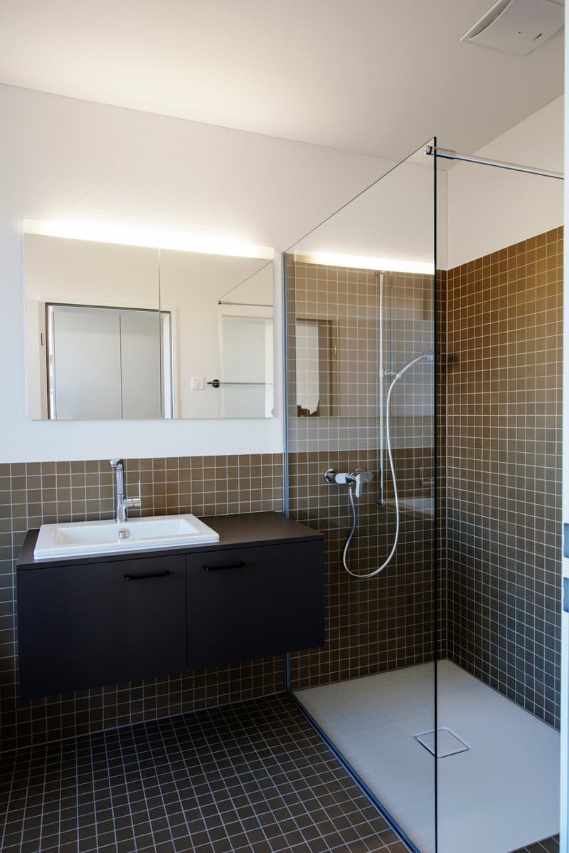 Grosszügige 3 1/2-Zimmer Wohnung (8)