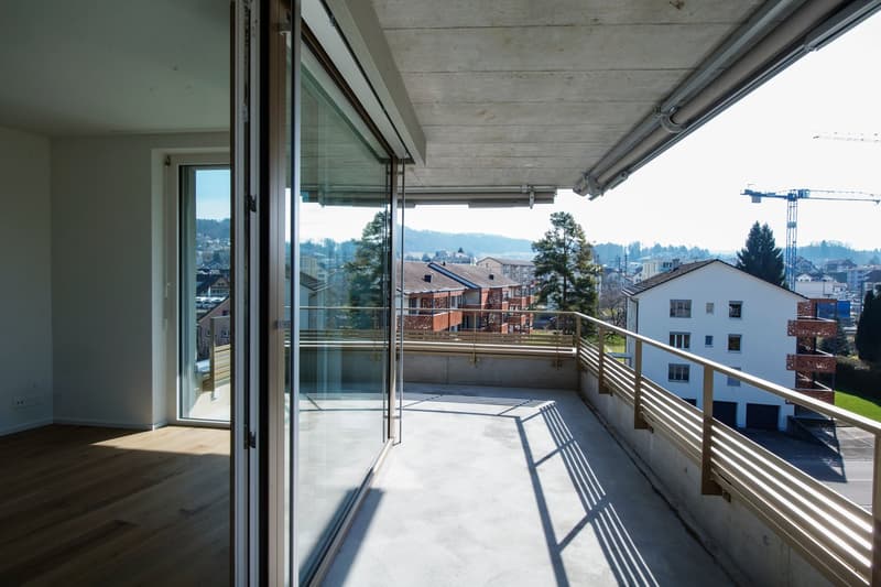 Grosszügige 3 1/2-Zimmer Wohnung (9)