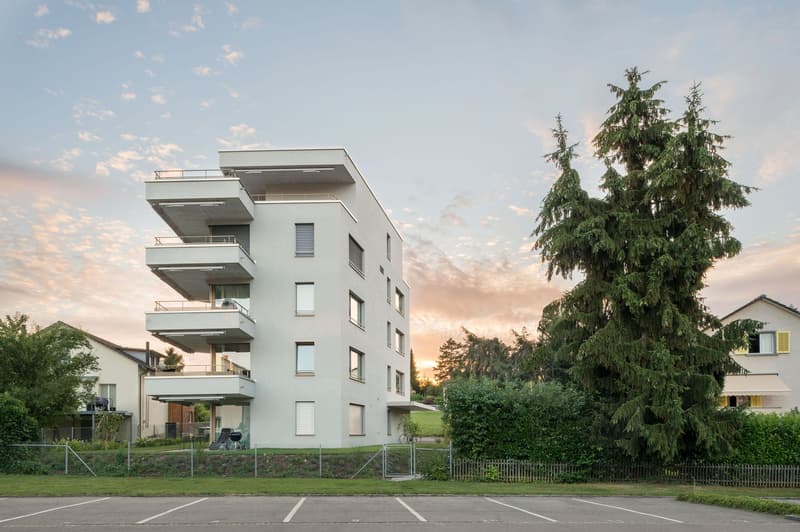 Grosszügige 3 1/2-Zimmer Wohnung (2)