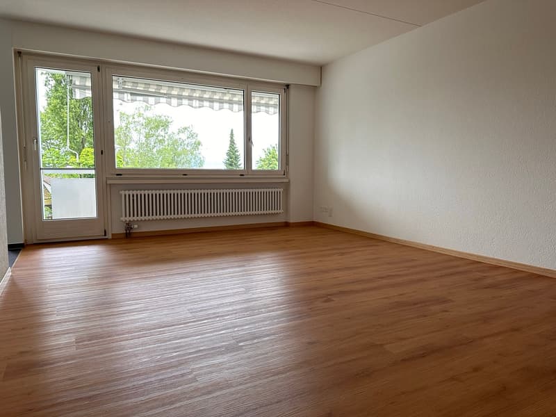 Appartamento di 4 locali luminoso con balcone a Männedorf – disponibile da luglio 2026 (3)