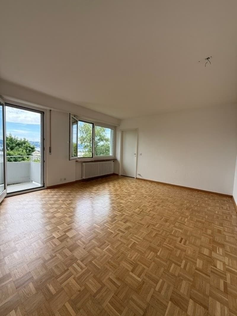 Durata di locazione limitata! Affascinante appartamento di 3 locali al piano terra a Stäfa – disponibile immediatamente! (2)