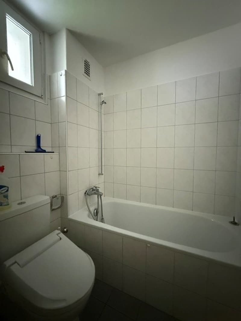 Durata di locazione limitata! Affascinante appartamento di 3 locali al piano terra a Stäfa – disponibile immediatamente! (5)