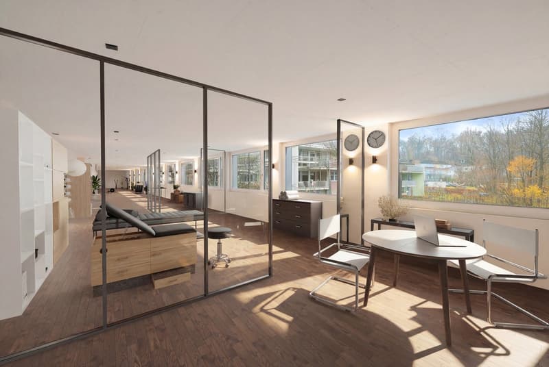 modern interior, glass walls, wooden floor, white furniture, large windows, medical equipment