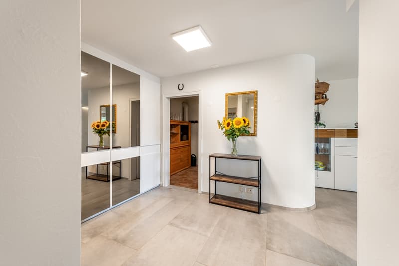 Hochwertiges Terrassenhaus mit Panoramablick in Rudolfstetten-Friedlisberg (5)