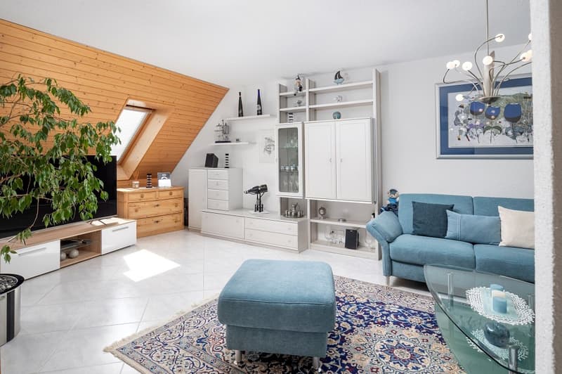 Bel appartement mansardé avec galerie (7)