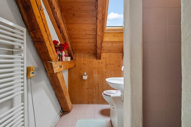 Bijou Dachwohnung mit Atelier (9)
