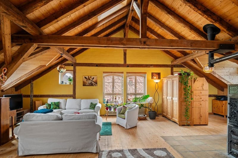 Bijou Dachwohnung mit Atelier (5)