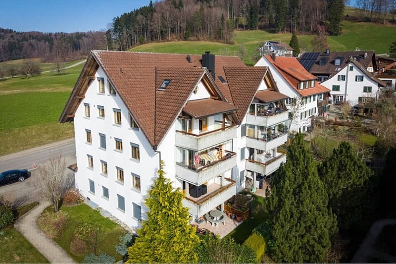 Lots of space in a beautiful location with a view over Bäretswil (1)