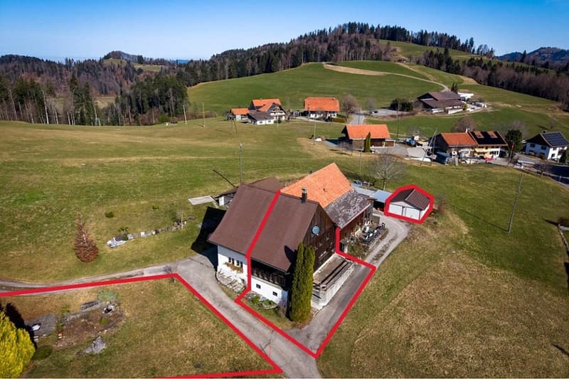 Cozy living and enjoying with mountain views in the municipality of Bäretswil (2)