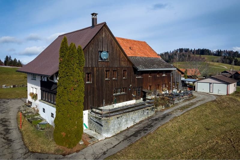 Cozy living and enjoying with mountain views in the municipality of Bäretswil (1)