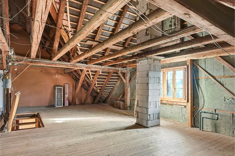 Cozy living and enjoying with mountain views in the municipality of Bäretswil (13)