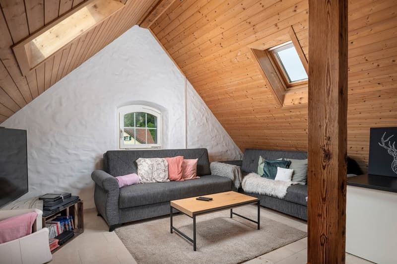 Quiet, sunny location, directly on the Töss (10)