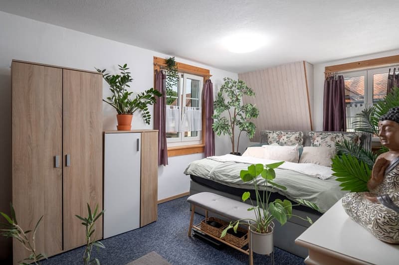 Quiet, sunny location, directly on the Töss (8)