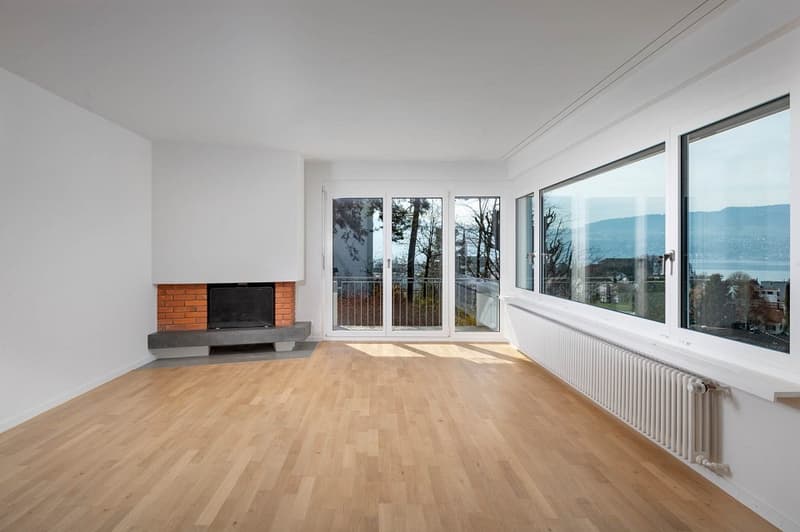 Posizione da sogno con vista sul lago e sulla montagna inobstructabile (4)
