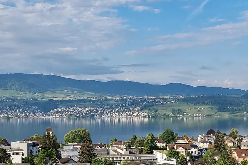 Posizione da sogno con vista sul lago e sulla montagna inobstructabile (1)