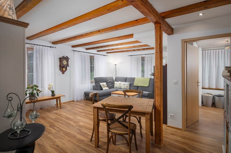 Paradies für Mensch, Hund und Katze (5)