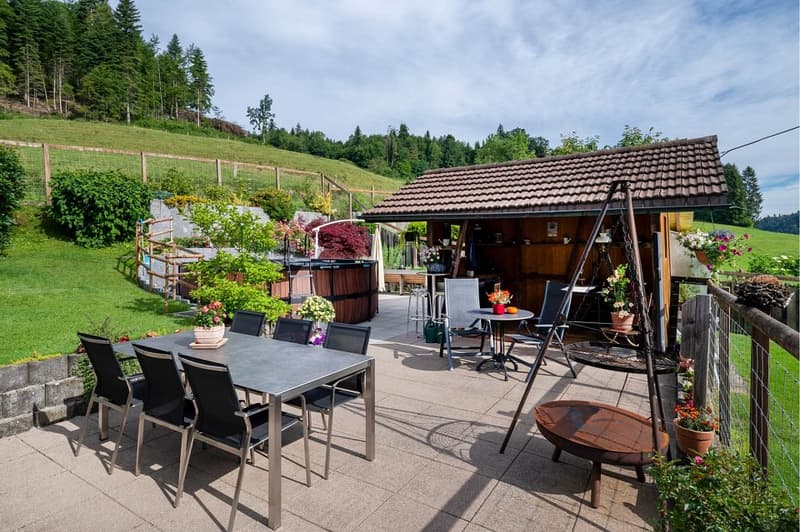 Paradies für Mensch, Hund und Katze (4)