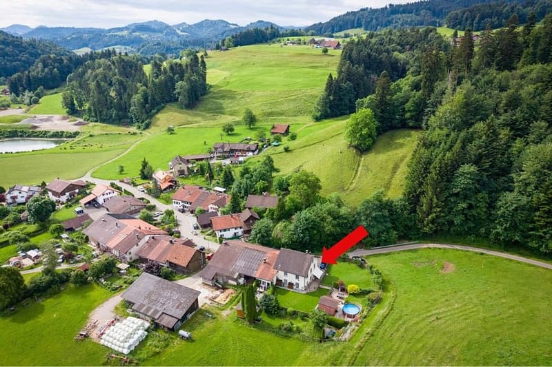 Paradies für Mensch, Hund und Katze (1)