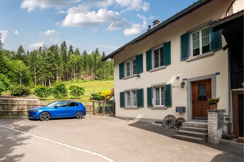 Paradies für Mensch, Hund und Katze (3)