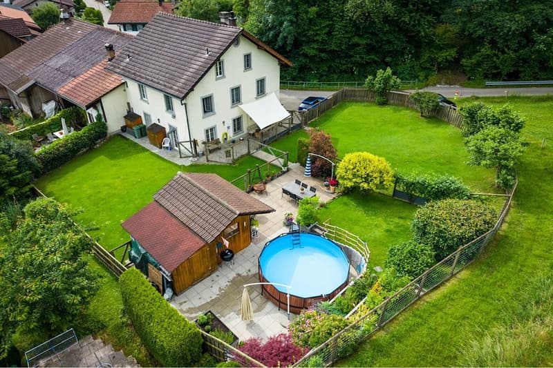 Paradies für Mensch, Hund und Katze (2)
