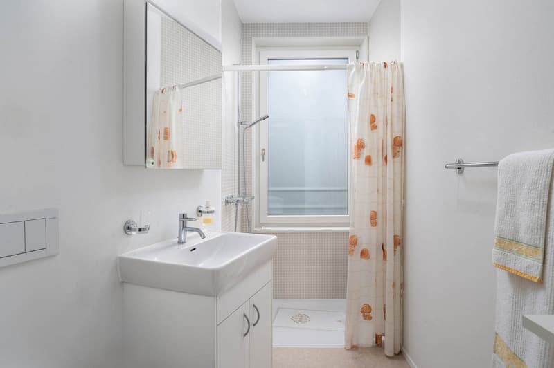 Lieben Sie aussergewöhnliche Grundrisse - Stadtwohnung mit Flair und Minergie-Standard (9)