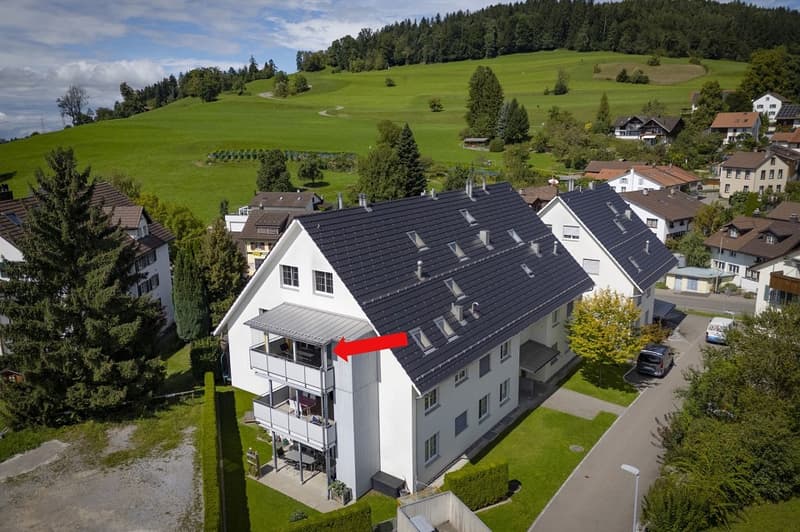 Gepflegte, grosszügige Dachwohnung (13)