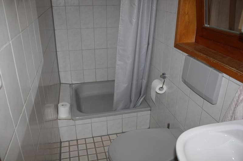 Gemütliches Haus in Bahnhofsnähe (11)
