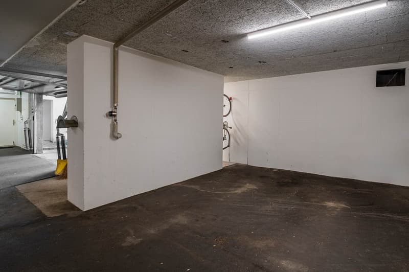 Anlage oder Eigennutzung! Grosszügige Dach-Maisonette-Wohnung mit Garten (13)
