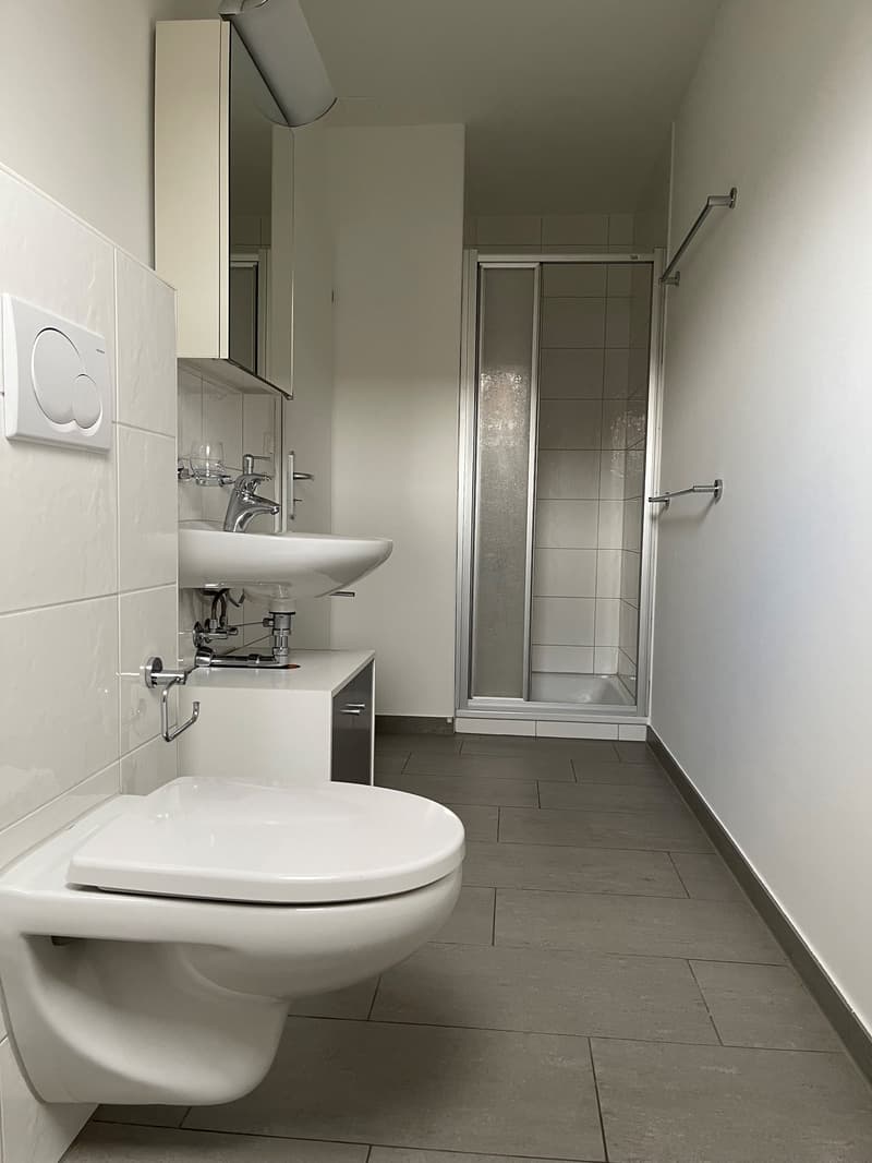 Originelle Maisonettewohnung an ruhiger Lage (8)