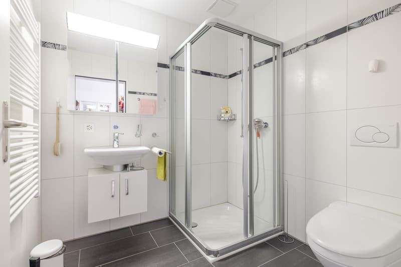 Zentral gelegene 4.5-Zimmer-Wohnung mit schöner Aussicht (7)