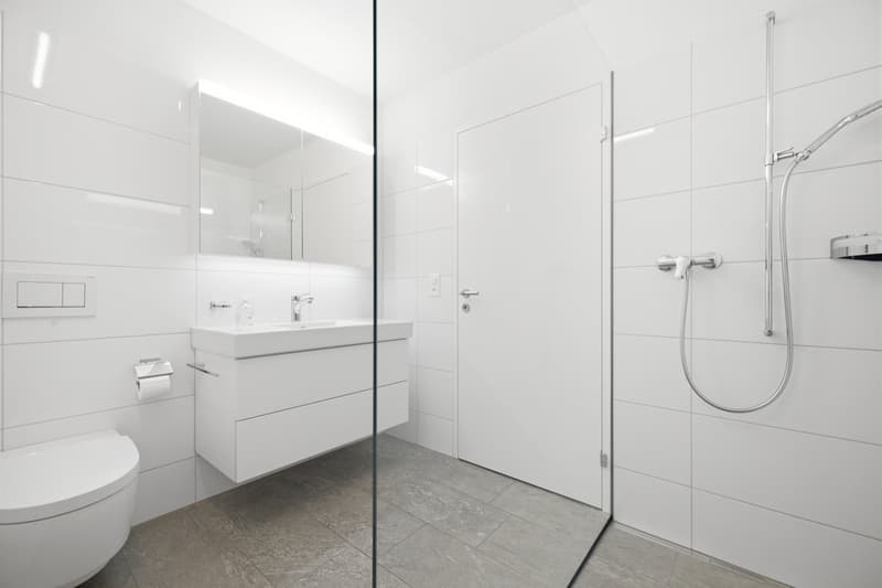 Attraktive 3.5-Zimmer-Dachwohnung an ruhiger Lage (10)