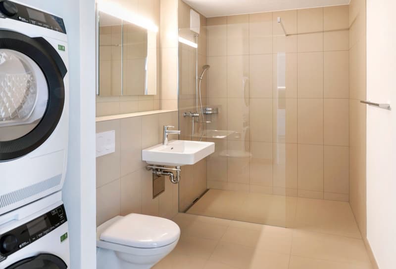 Première location "Station-W", à la gare de Wetzikon / Dernier loft disponible (5)