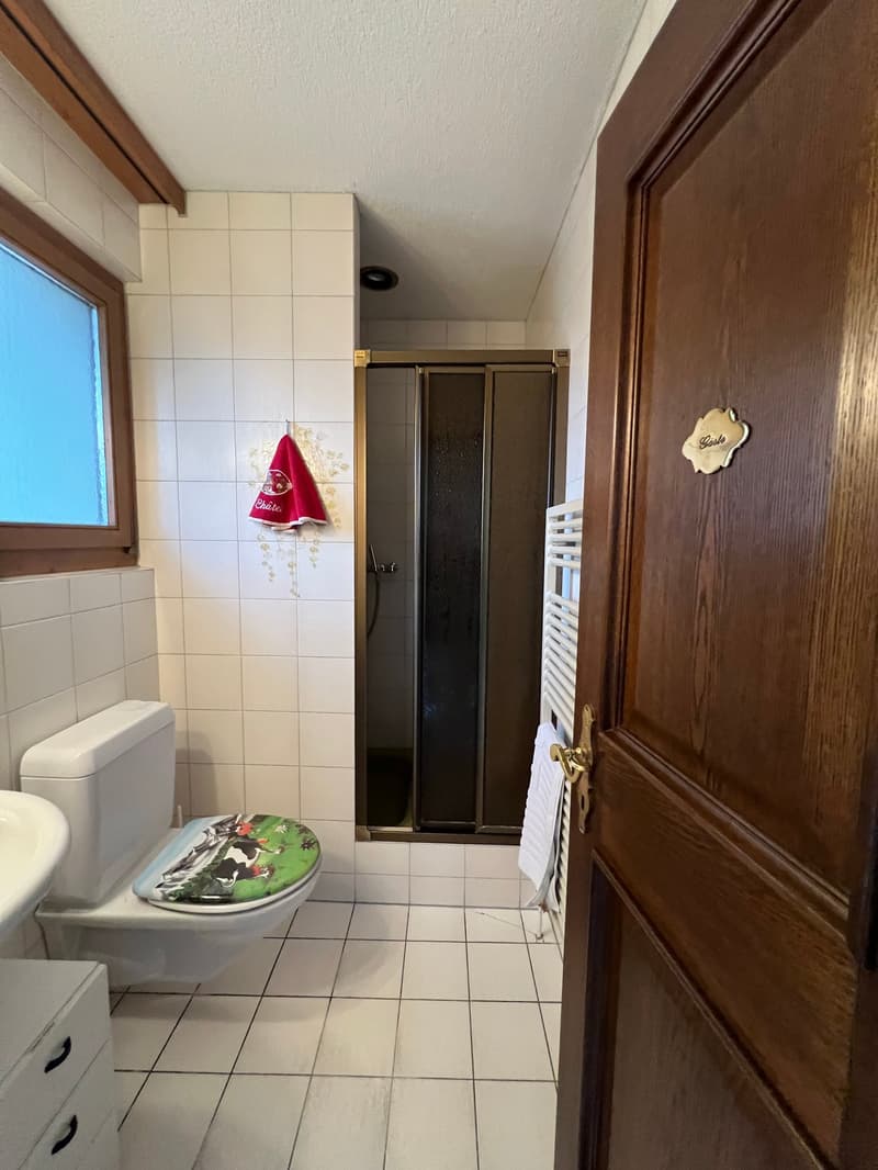 Charmant appartement maisonette 5.5 pièces à Effretikon (6)