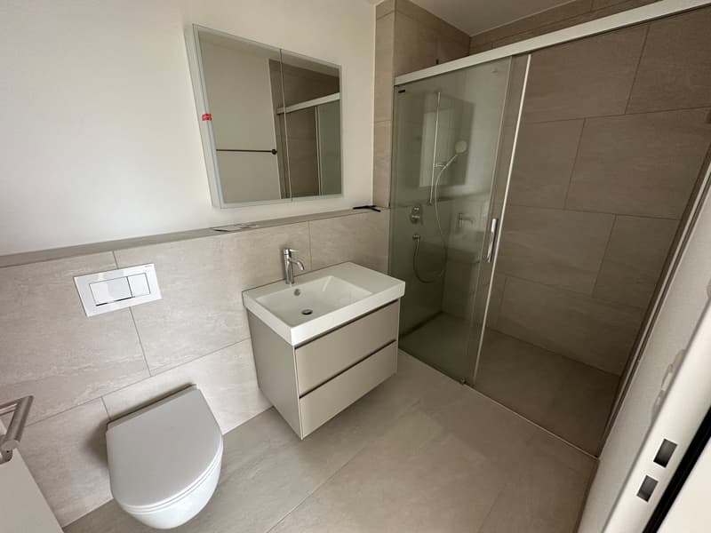 Primo affitto: Appartamento moderno 4,5 locali a Hagenbüel, Illnau (6)