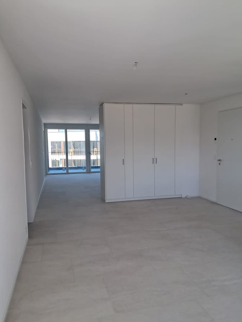 Primo affitto: Appartamento moderno 4,5 locali a Hagenbüel, Illnau (3)