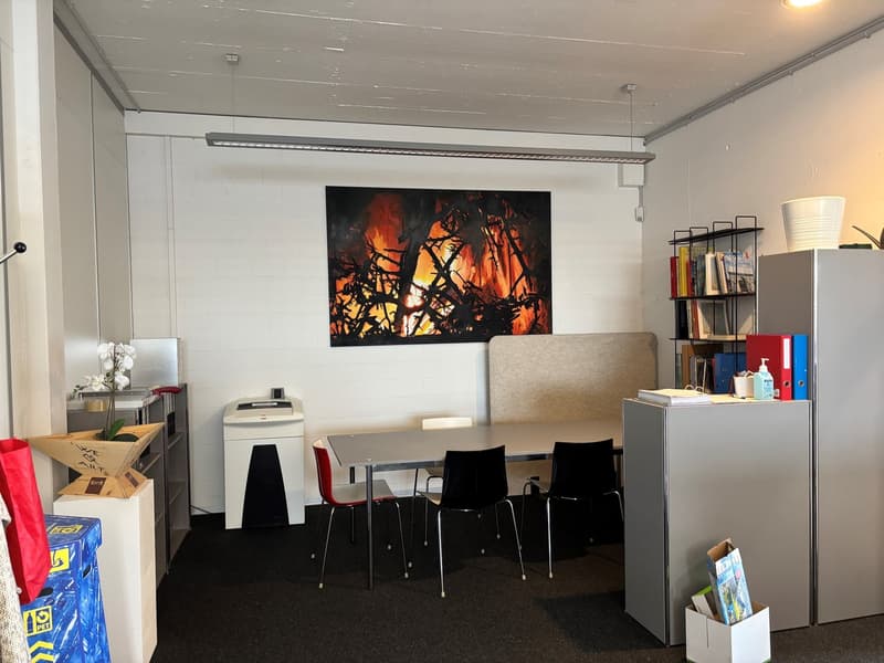 Attraktive Bürofläche mit 86 m² im Gewerbequartier Langhag, Effretikon (3)