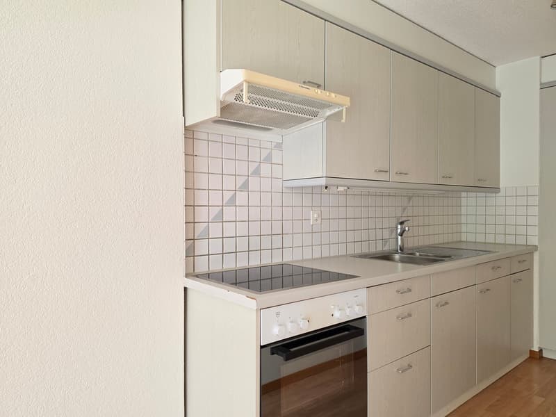 Appartement pratique pour célibataires ou couples! (3)