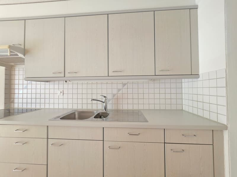 Appartement pratique pour célibataires ou couples! (4)